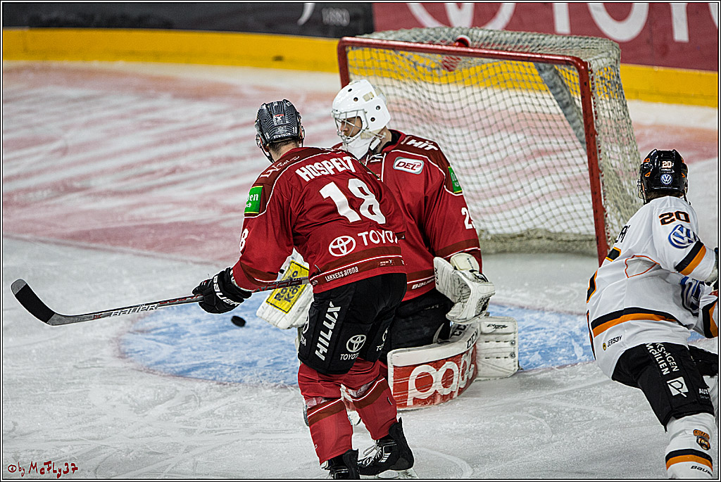 DEL, Koelner Haie - Grizzlys Wolfsburg, 21.03.2017
